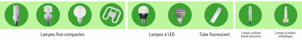 collecte des lampes